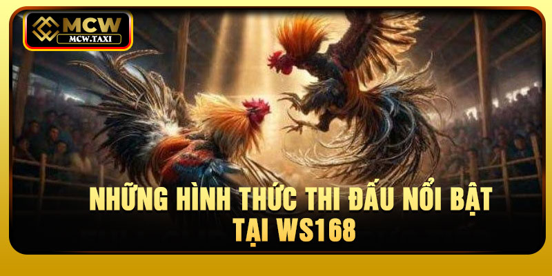 Những hình thức thi đấu nổi bật tại WS168